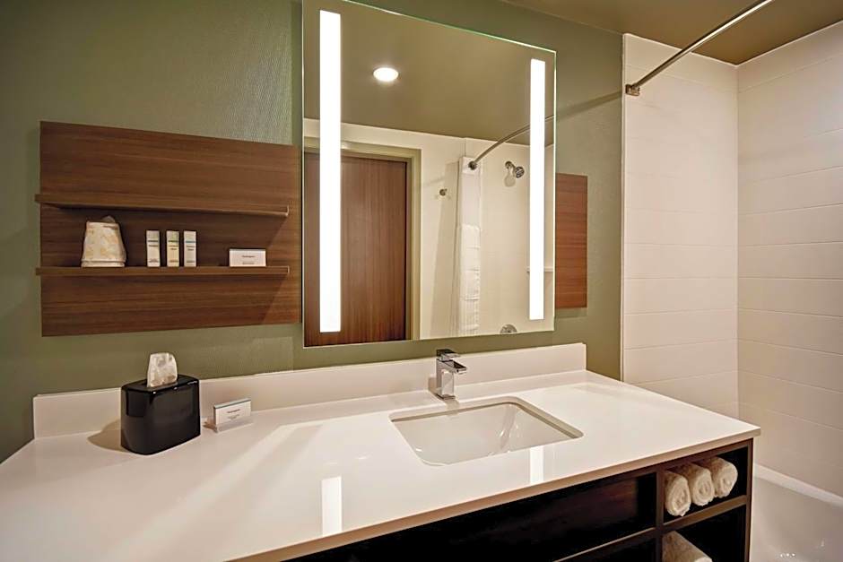 Hilton Garden Inn Lansing West