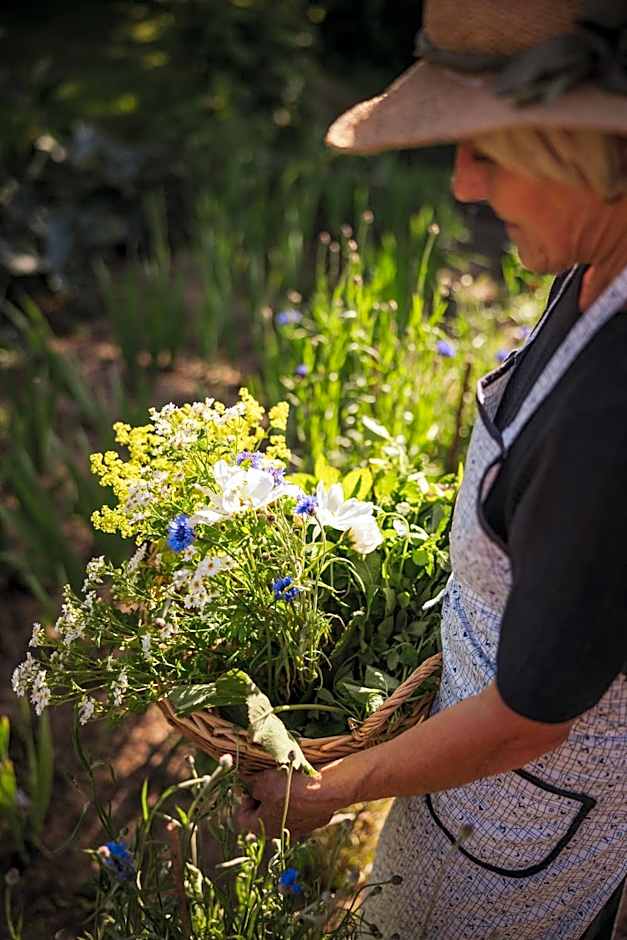 Hotel Mareo Dolomites