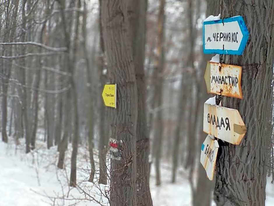 Bonsovi Poliani Hut (¿¿¿¿ ¿¿¿¿¿¿¿ ¿¿¿¿¿¿)