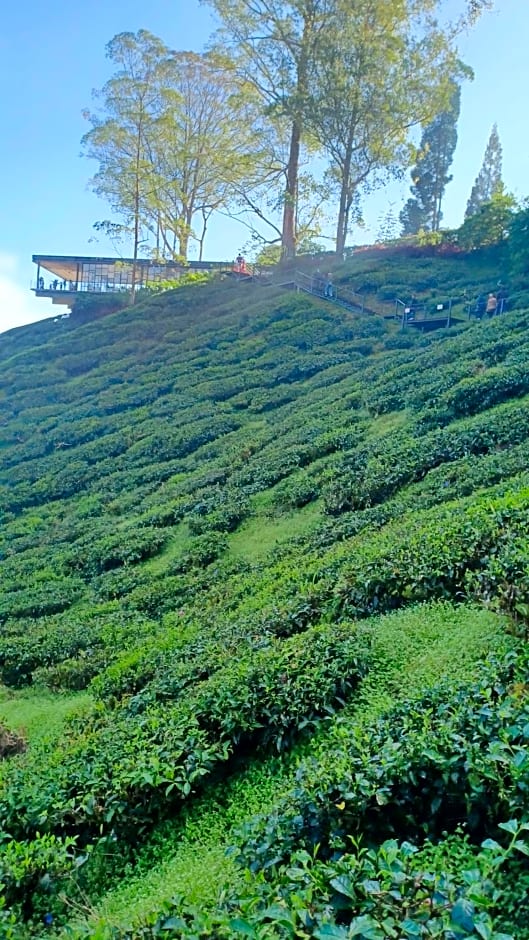 BRICKS Cameron Hostel