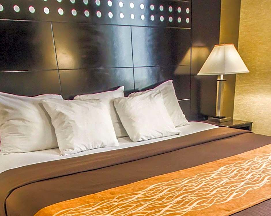 Rodeway Inn Bronx Zoo