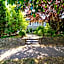 Charming Home Near UBC with Parking & Backyard