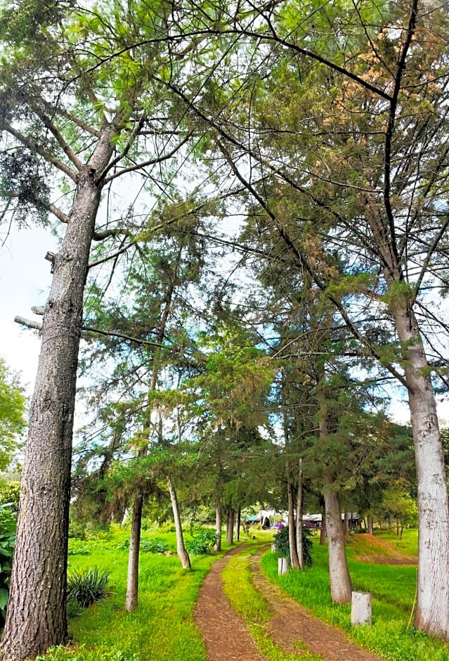 Villa Patzcuaro Garden Hotel & RV Park