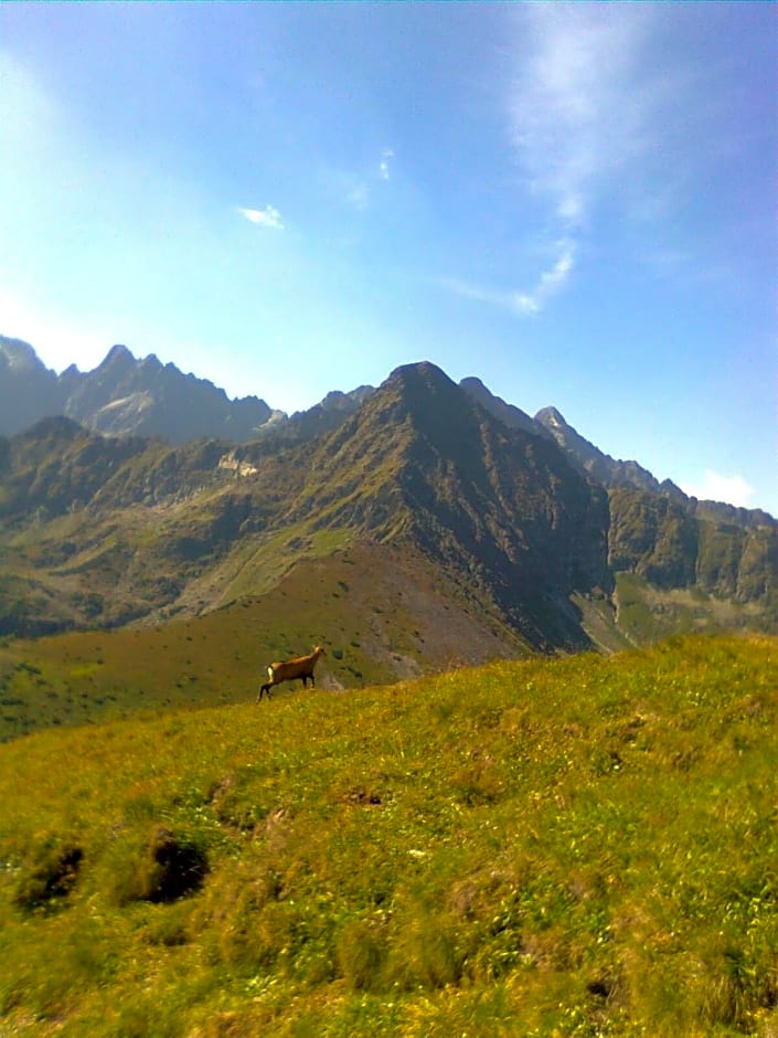 Chalúpka u Babičky