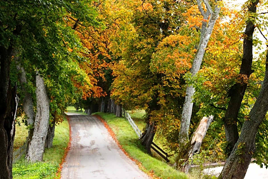 Kuskahusen vandrarhem