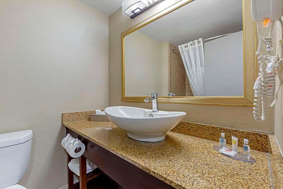 Comfort Inn Herndon-Reston