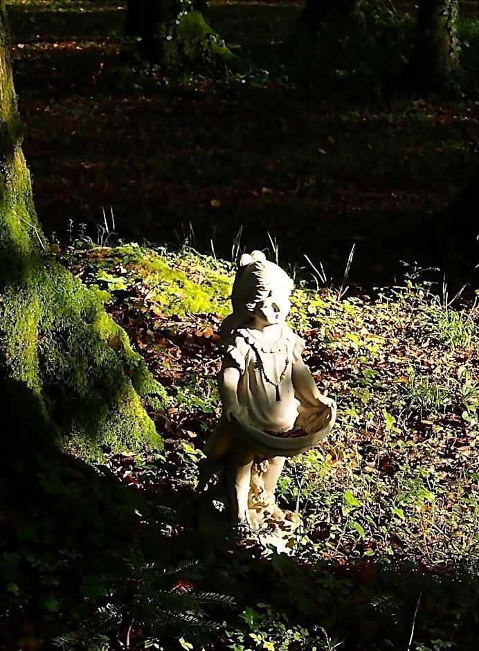 Chambres d'hôtes La Gargaille