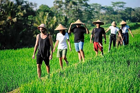 BAKUNGAN diJero Homestay