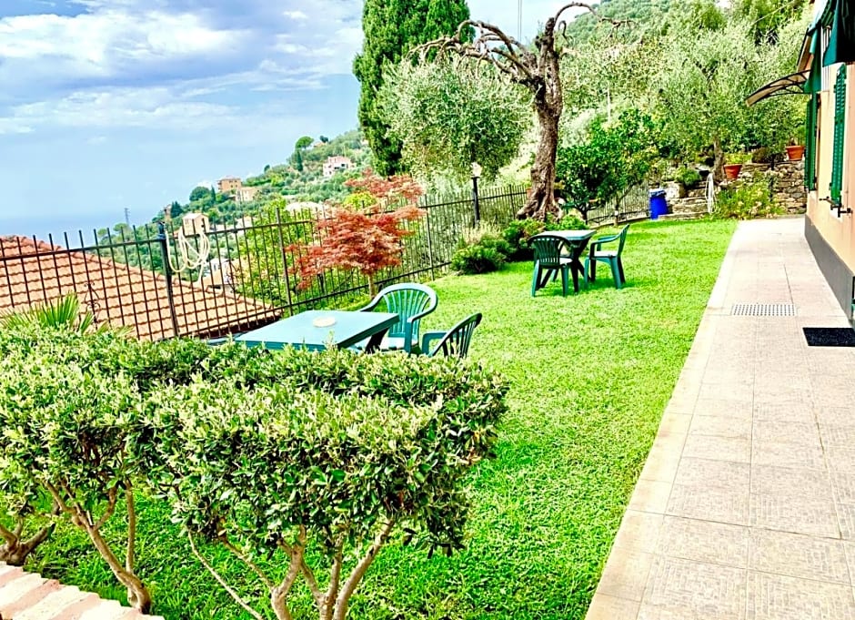 Il Gabbiano Di Pieve