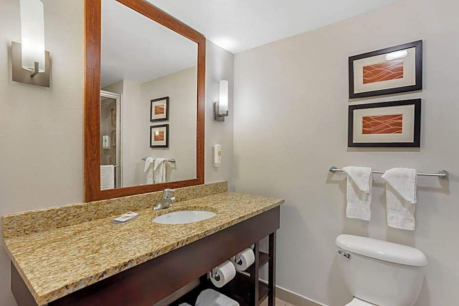 Photo 1 of 10 of 1 King Bed Suite