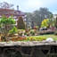 Unit 444,Privately owned, 1 Bedroom Suite, 2 King Bed at the Forest Lodge, Camp John Hay Suites