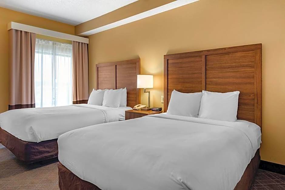 Comfort Inn & Suites At Stone Mountain