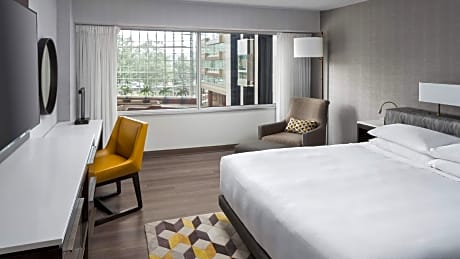 Atrium Suite