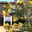 Canyon Villa Bed & Breakfast Inn of Sedona