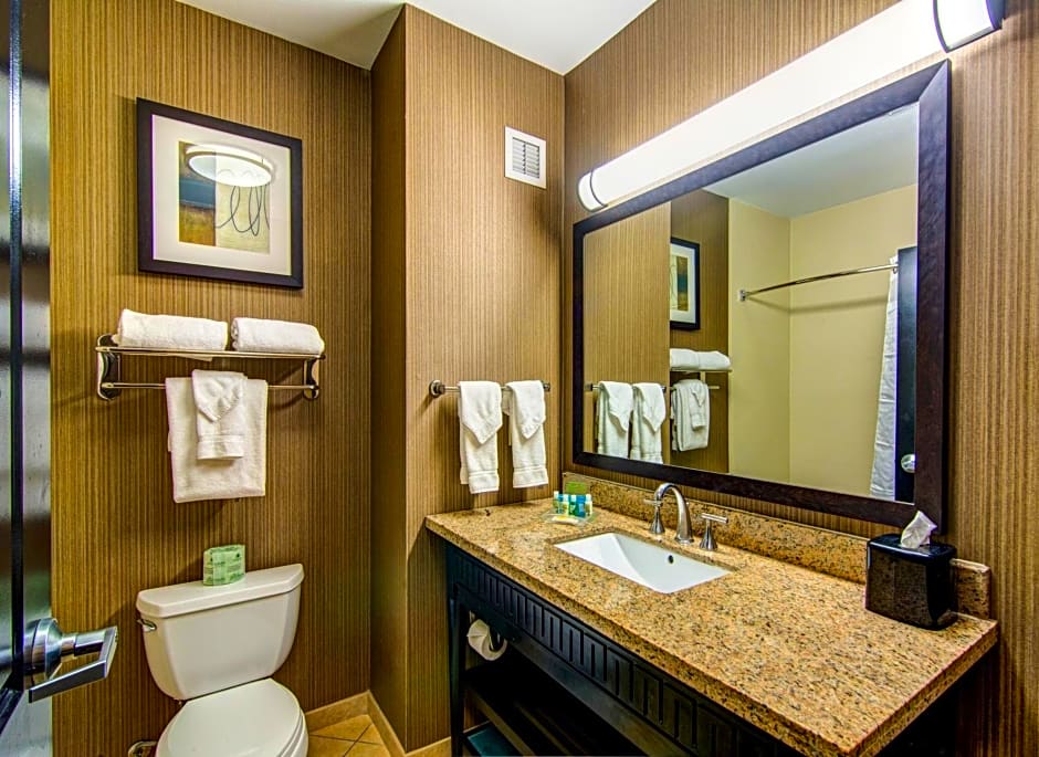 Holiday Inn Arlington Northeast By IHG