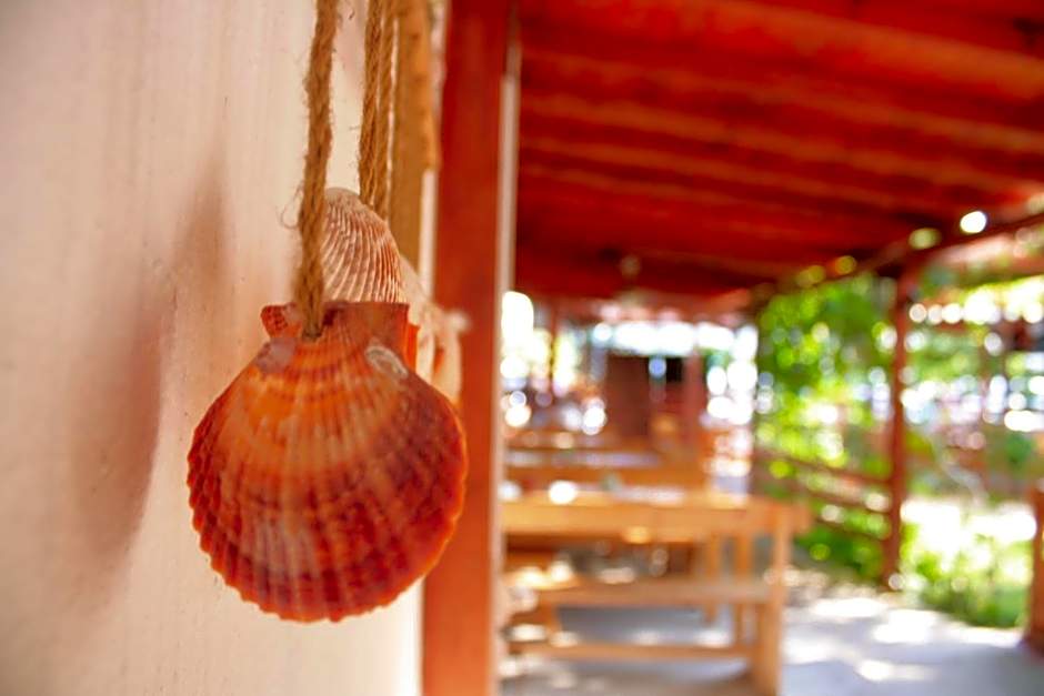 Alba Family Club Hotel