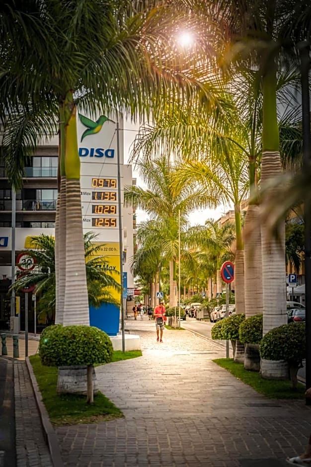 Comodoro Estudio Vista Mar Explotaciones Ravel