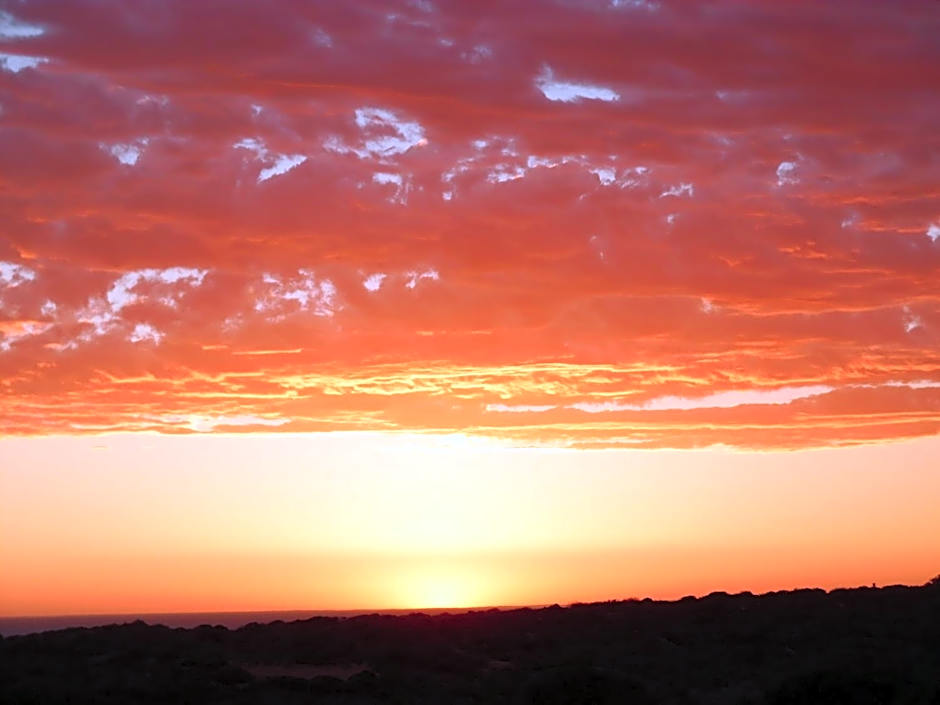 On the Deck @ Shark Bay