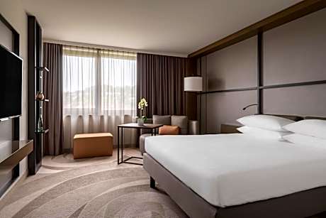 One-Bedroom Master Suite - Executive Level