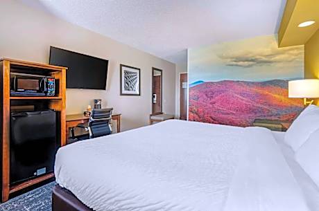 King Room - Non-Smoking