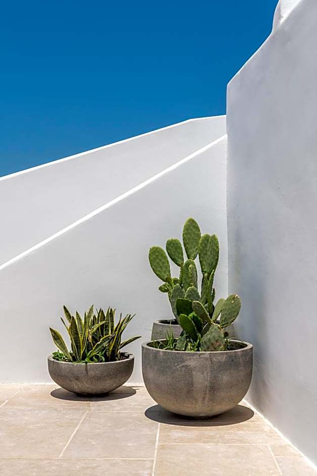 Avra Mykonos