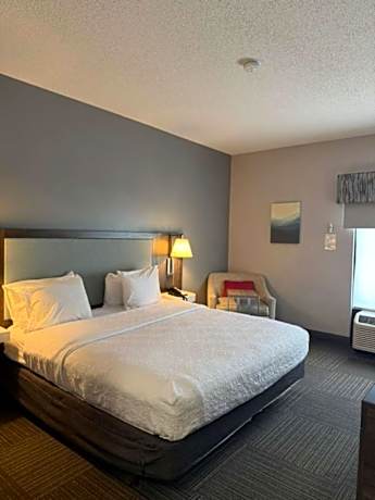 King Room with Roll-In Shower - Mobility and Hearing Access/Non-Smoking