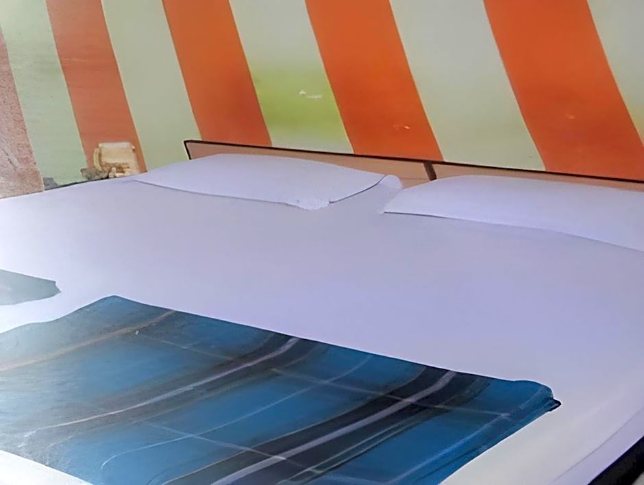 Hotel Maharana Palace