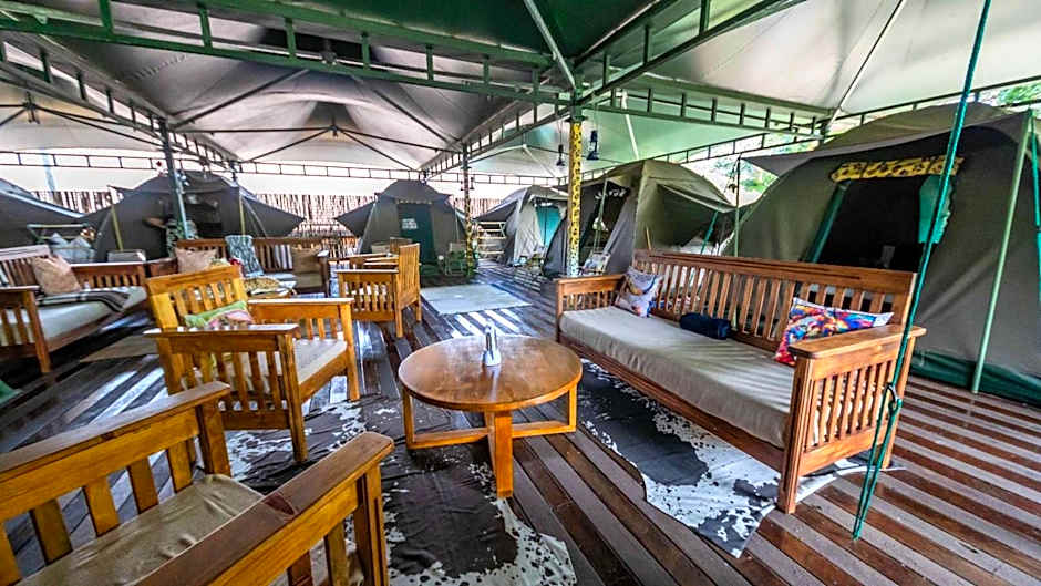 The Tree Top Village Urban Glamping
