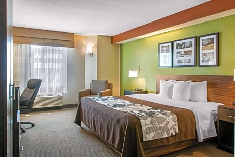 1 King Bed, Nonsmoking