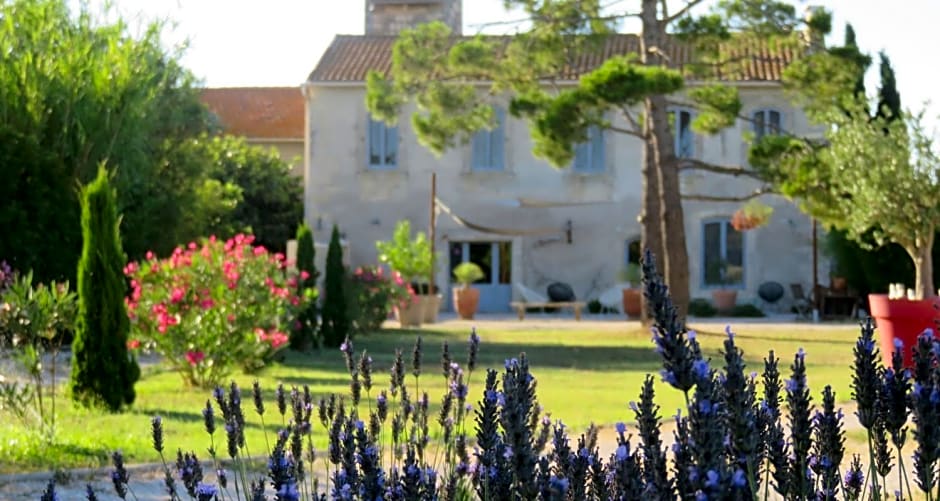 Maison Tara verte au Mas Montredon