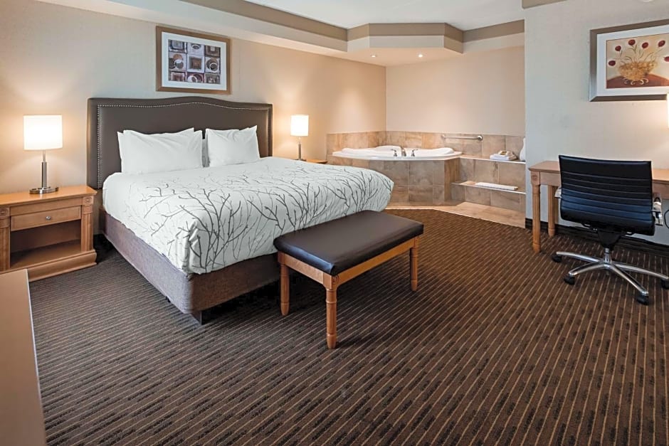 Best Western Plus Waterloo