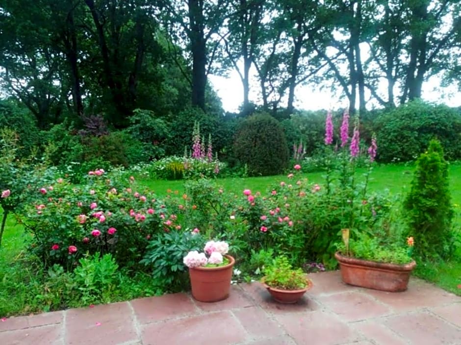 Zimmer mit Teichblick