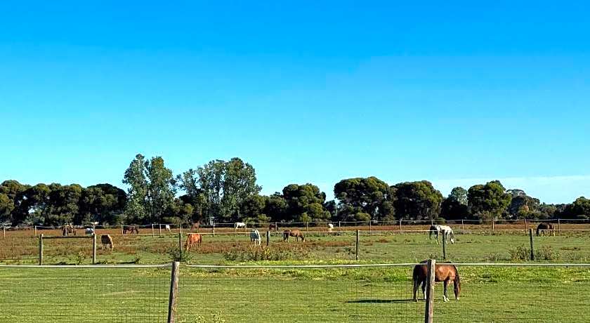 Lazy River Motor Inn