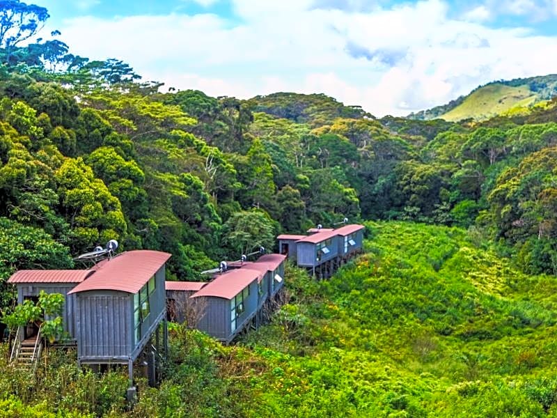 The Rainforest Ecolodge
