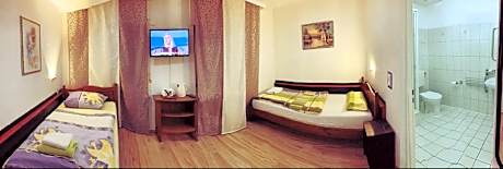 Double or Twin-Standard-Ensuite with Shower-City View