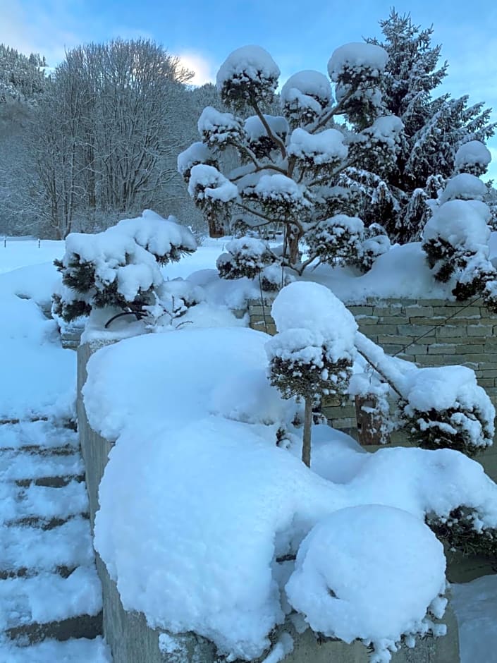 Lodge Jardin Secret - Propriétés Mont Amour