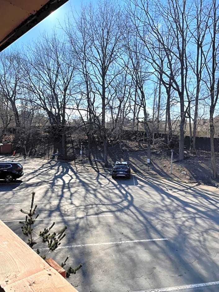 Best Western Woodbury Inn