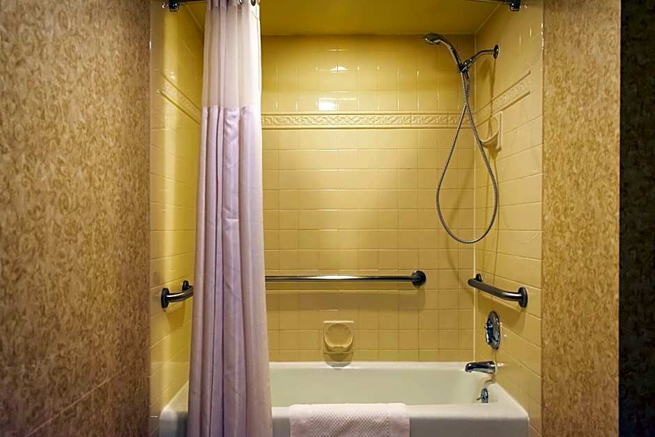 Photo 1 of 3 of Premier 1 King Bed, Hearing/Mobility Accessible, Bathtub, Balcony