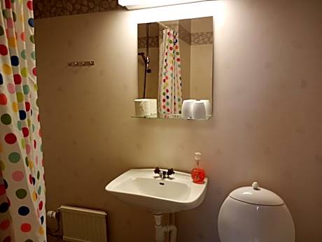 Budget Twin Room