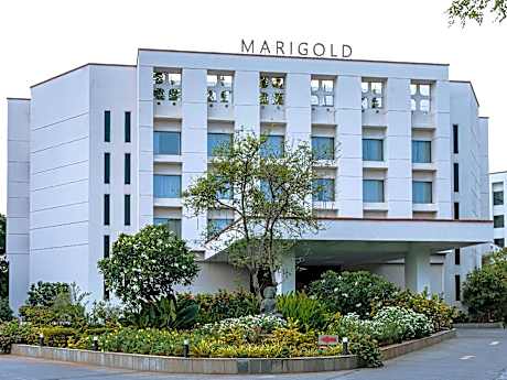 Marigold By Green Park