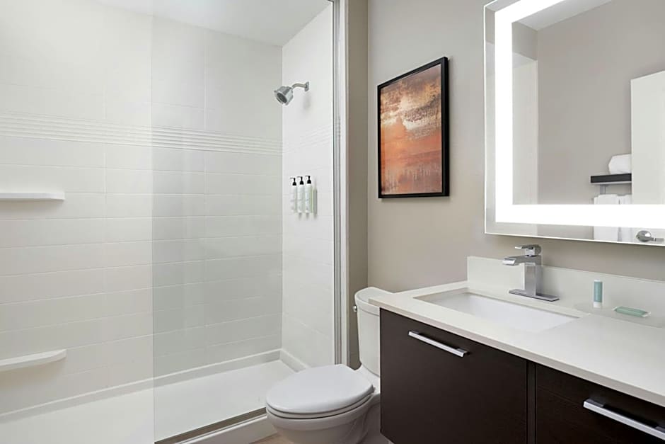 TownePlace Suites by Marriott Houston Hobby Airport