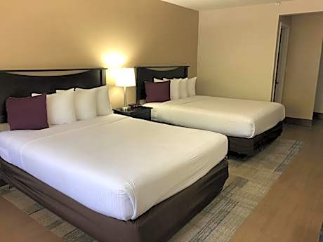 Suite with One Bathroom