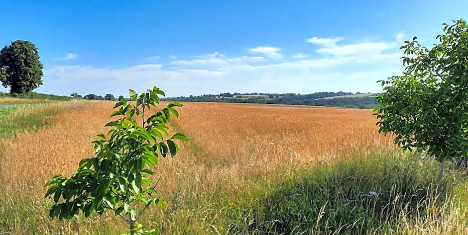Chambres d’hôtes La Joyeuse