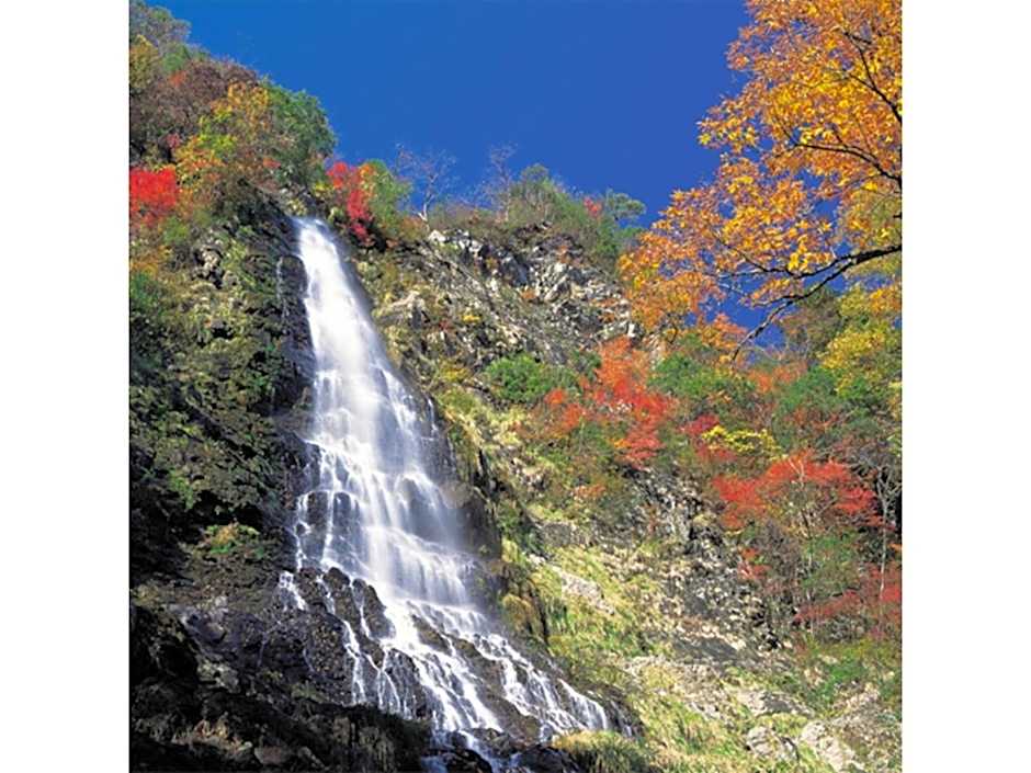 Pure Hotel - Vacation STAY 44183v