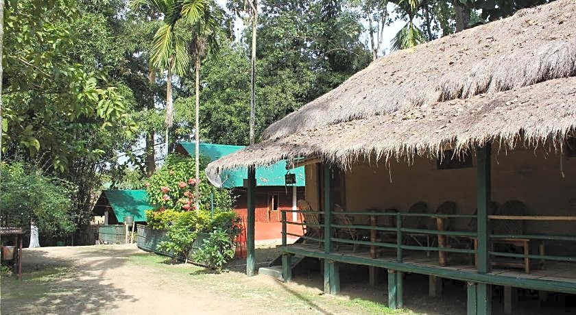 Nature Hunt Eco Camp Kaziranga 