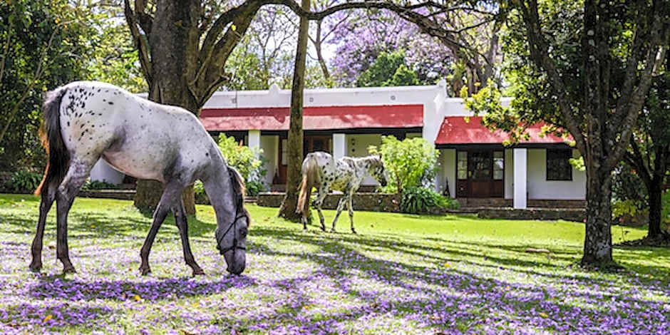 Ngare Sero Mountain Lodge