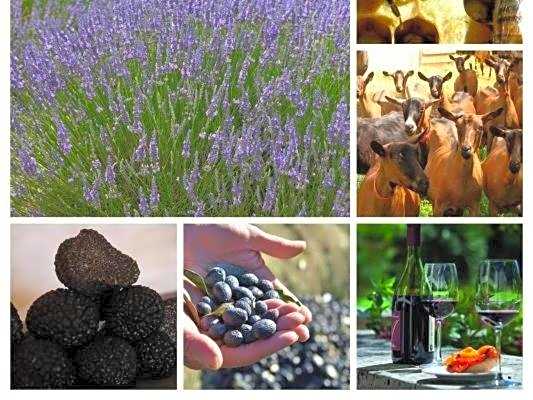 La Ferme Les Eybrachas