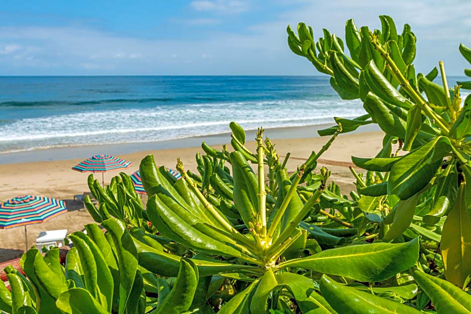 Xiobella Boutique Hotel -Punta de Mita