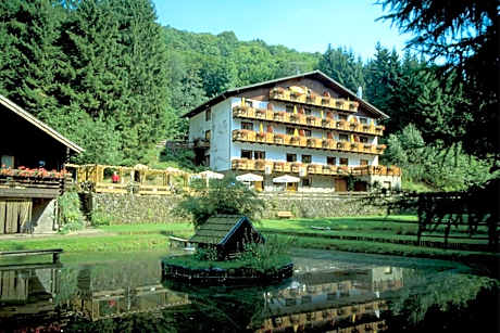 Wolffhotel