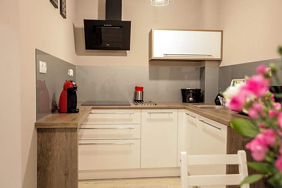 Bory6a Apartamenty & Free Parking